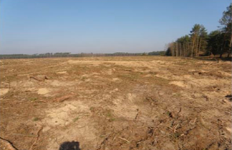 Ogłoszono I przetarg na dzierżawęterenu byłego lotniska radzieckiego