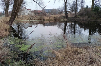 Staw w Goli zostanie wyczyszczony. Właśnie podpisano umowę FOTO