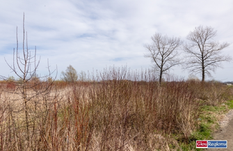 Burmistrz Antkowiak Za 18 miesięcy otwieramy nową salę wiejską w Kandlewie