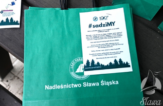 Do 1500 odbierz darmowąsadzonkę. Akcja sadziMY Nadleśnictwa Sława Śląska