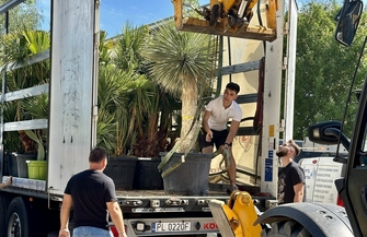 Klub na Fali w Sławie Przyjmuje Egzotyczne Palmy Prosto z Alicante