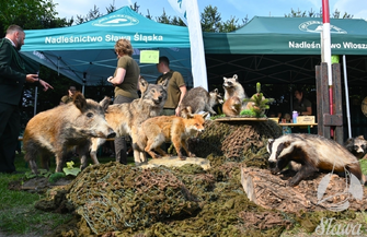 XIII Parafiada Myśliwska. W Tarnowie Jeziernym świętowali myśliwi mieszkańcy i turyści