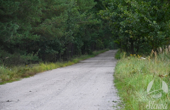 Droga Kuźnica Głogowska - Myszyniec do przebudowy. Przekazano plac budowy