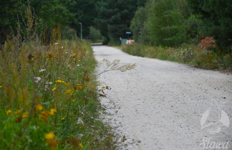 Droga Kuźnica Głogowska - Myszyniec do przebudowy. Przekazano plac budowy