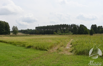 Obwodnica Sławy coraz bliżej. Ogłoszono przetarg na drugi etap