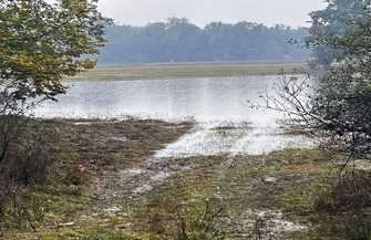 Szacowanie strat po powodzi w gm. Szlichtyngowa. Gdzie i jak złożyć wniosek
