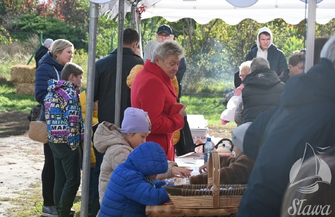 Dyniowo-Pierogowy Zawrót Głowy. Rodzinny Piknik w Sławie FOTO