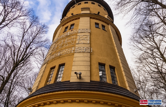 Minął rok od zakończenia rewitalizacji. W Parku Wolsztyńskim posadzono nowe drzewa