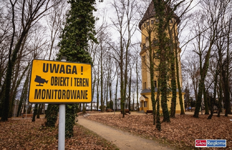 Minął rok od zakończenia rewitalizacji. W Parku Wolsztyńskim posadzono nowe drzewa