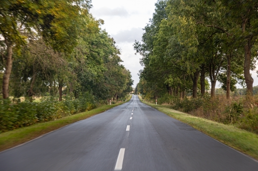 Ścieżka rowerowa WschowaLgiń. Pięć ofert na trzeci etap budowy