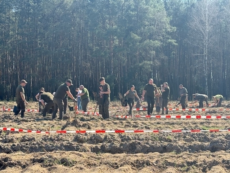 Las w kształcie 100. Symboliczna forma uczczenia stulecia Nadleśnictwa Włoszakowice