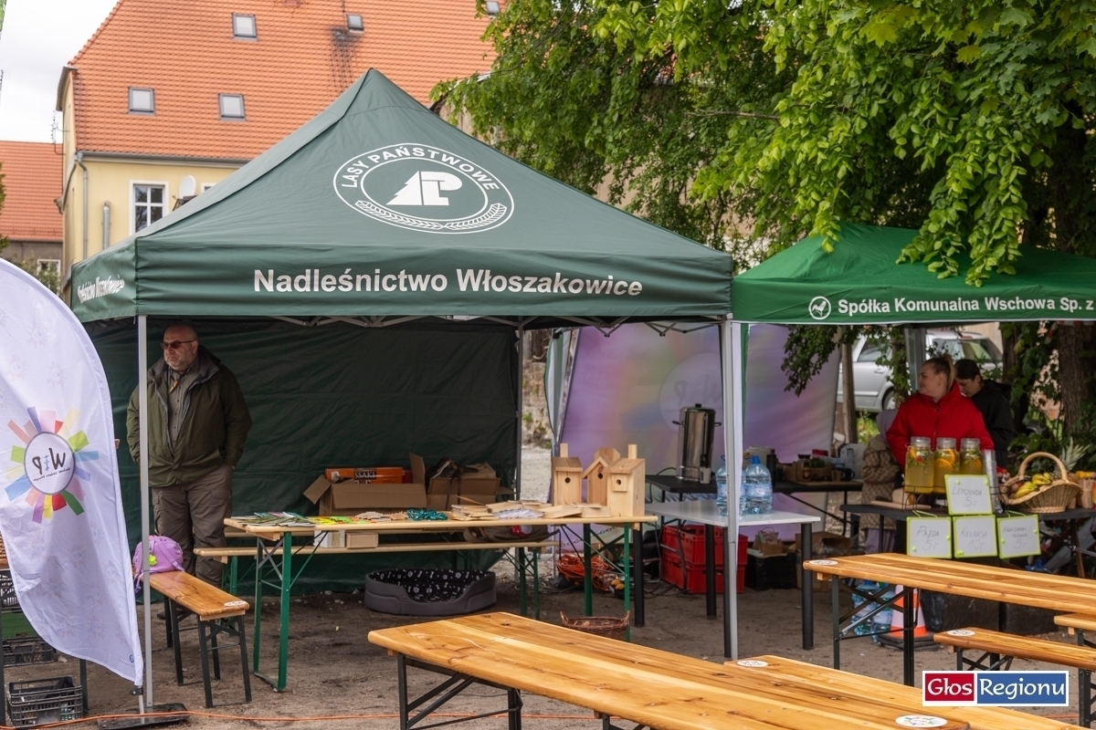 Ekologiczna sobota we Wschowie. Trwa piknik Stowarzyszenia WIP ZDJĘCIA