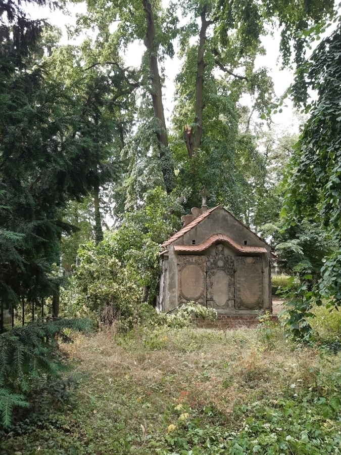 Silny wiatr połamał drzewa. Lapidarium we Wschowie zamknięte do odwołania