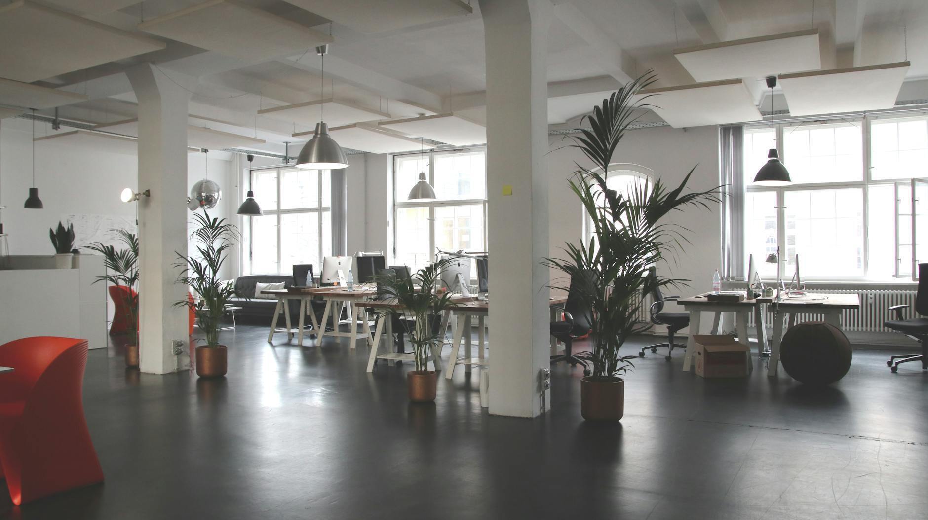 Fit out biura od projektu do realizacji kompleksowa przebudowa z generalnym wykonawstwem i podejściem design build