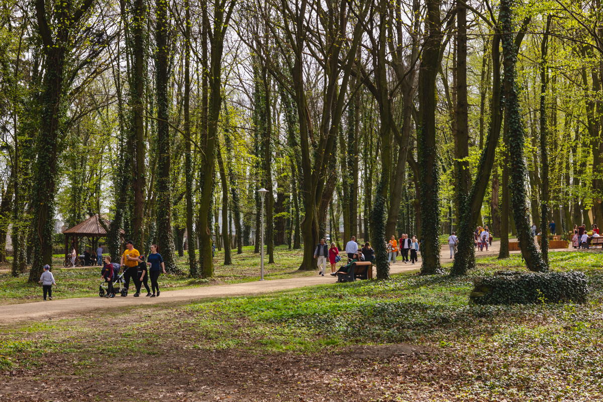 Park Wolsztyński we Wschowie