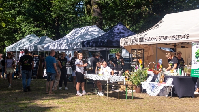 Rodzinne popołudnie w Parku Górczyńskim. Gmina zaprasza na drugi piknik międzypokoleniowy