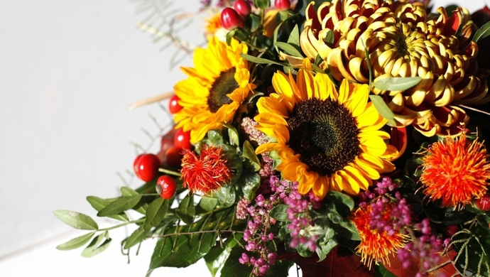 Złote światło jesieni – jak stworzyć wnętrze pełne ciepła i charakteru