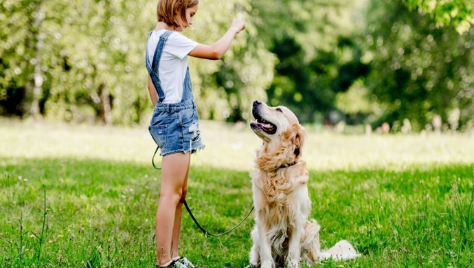 Chcesz pracować z psem terapeutycznym? Sprawdź, od czego zacząć i jakie kompetencje są potrzebne