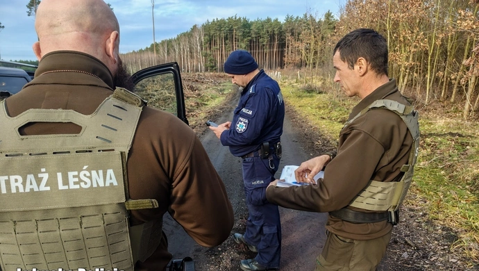 Skąd pochodzi twoja choinka? Policja i leśnicy ruszyli na kontrole w lasach