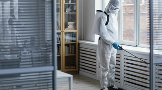 Jak przygotować dom i mieszkanie do dezynsekcji
