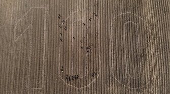 Las w kształcie „100”. Symboliczna forma uczczenia stulecia Nadleśnictwa Włoszakowice