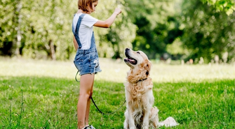 Chcesz pracować z psem terapeutycznym? Sprawdź, od czego zacząć i jakie kompetencje są potrzebne