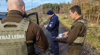 Skąd pochodzi twoja choinka? Policja i Straż Leśna ruszyli na kontrole w lasach