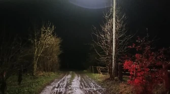 Nowa lampa przy drodze. Doświetlono ulicę w Kowalewie