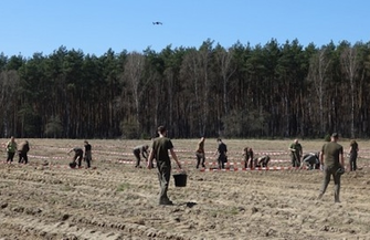 Las w kształcie 100. Symboliczna forma uczczenia stulecia Nadleśnictwa Włoszakowice