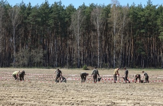 Las w kształcie 100. Symboliczna forma uczczenia stulecia Nadleśnictwa Włoszakowice