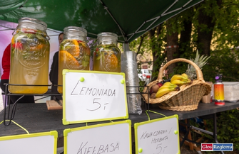 Ekologiczna sobota we Wschowie. Trwa piknik Stowarzyszenia WIP ZDJĘCIA