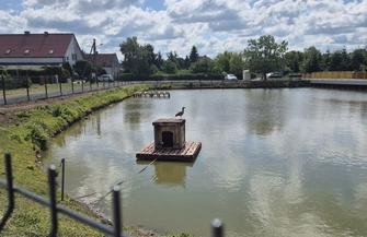 Wymienili ogrodzenie nad stawem w Zamysłowie. Firma z Konradowa zakończyła prace
