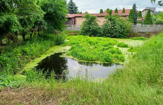 Trwająprace przy gminnych stawach