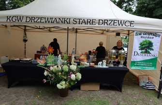 Park Górczyński tętnił życiem. Piknik Międzypokoleniowy przyciągnął mieszkańców w każdym wieku