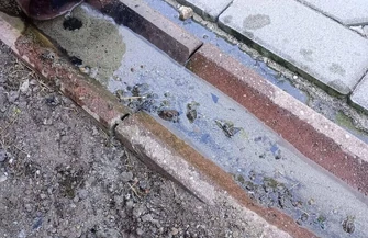 Kościół w Starych Drzewcach po fumigacji i uszczelnieniu dachu. Teraz czas na tynki