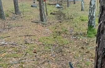 Śmiertelny wypadek pod Lubiatowem. Kierowca zginął na miejscu