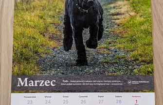 Mają dom kanapę i ludzi którzy je kochają. Ich zdjęcia pomogą tym które wciąż czekają