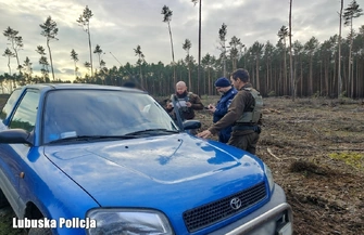 Skąd pochodzi twoja choinka Policja i leśnicy ruszyli na kontrole w lasach