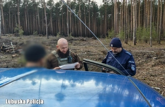 Skąd pochodzi twoja choinka Policja i leśnicy ruszyli na kontrole w lasach