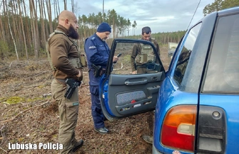 Skąd pochodzi twoja choinka Policja i leśnicy ruszyli na kontrole w lasach