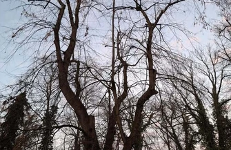 Lapidarium Rzeźby Nagrobnej we Wschowie