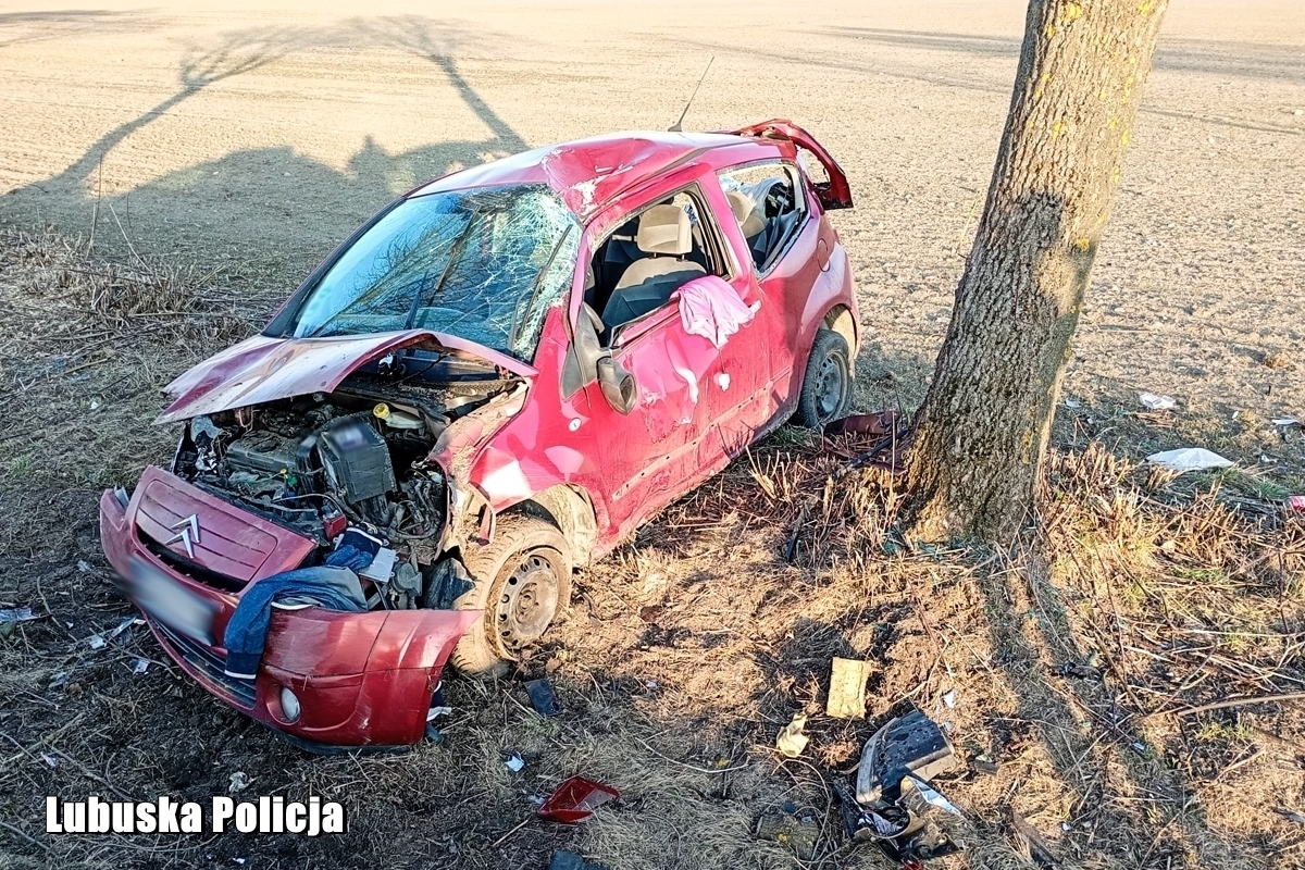 Zabrał auto z dzieckiem w środku i rozbił o drzewo. Miał ponad dwa promile