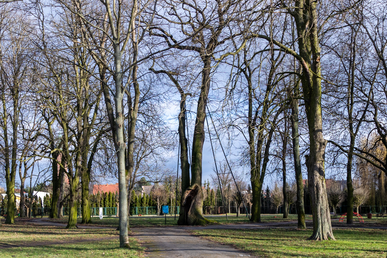 Prawie 6 mln zł na Park nad Stawami. Burmistrz Antkowiak Zmieniamy Wschowę na lepsze