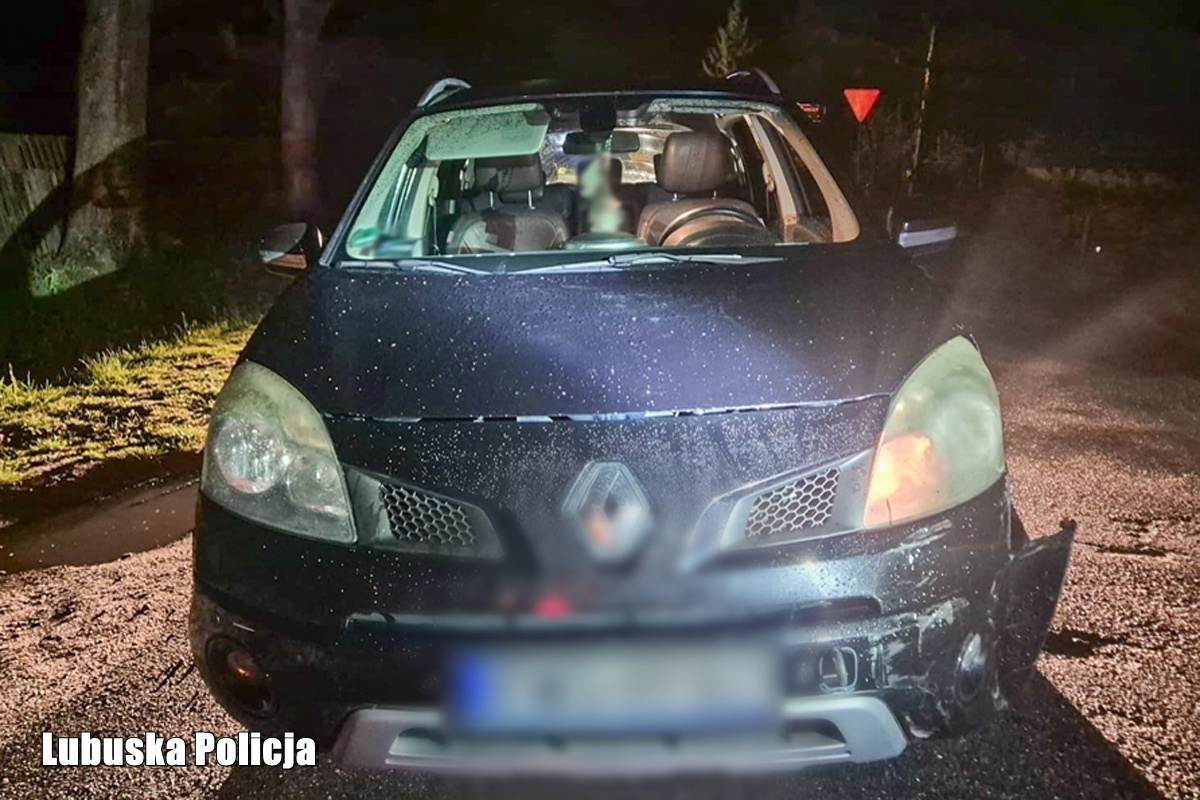 Dwa promile i wyjazd po zakupy. Policja zatrzymała 59-latkę z gminy Szlichtyngowa