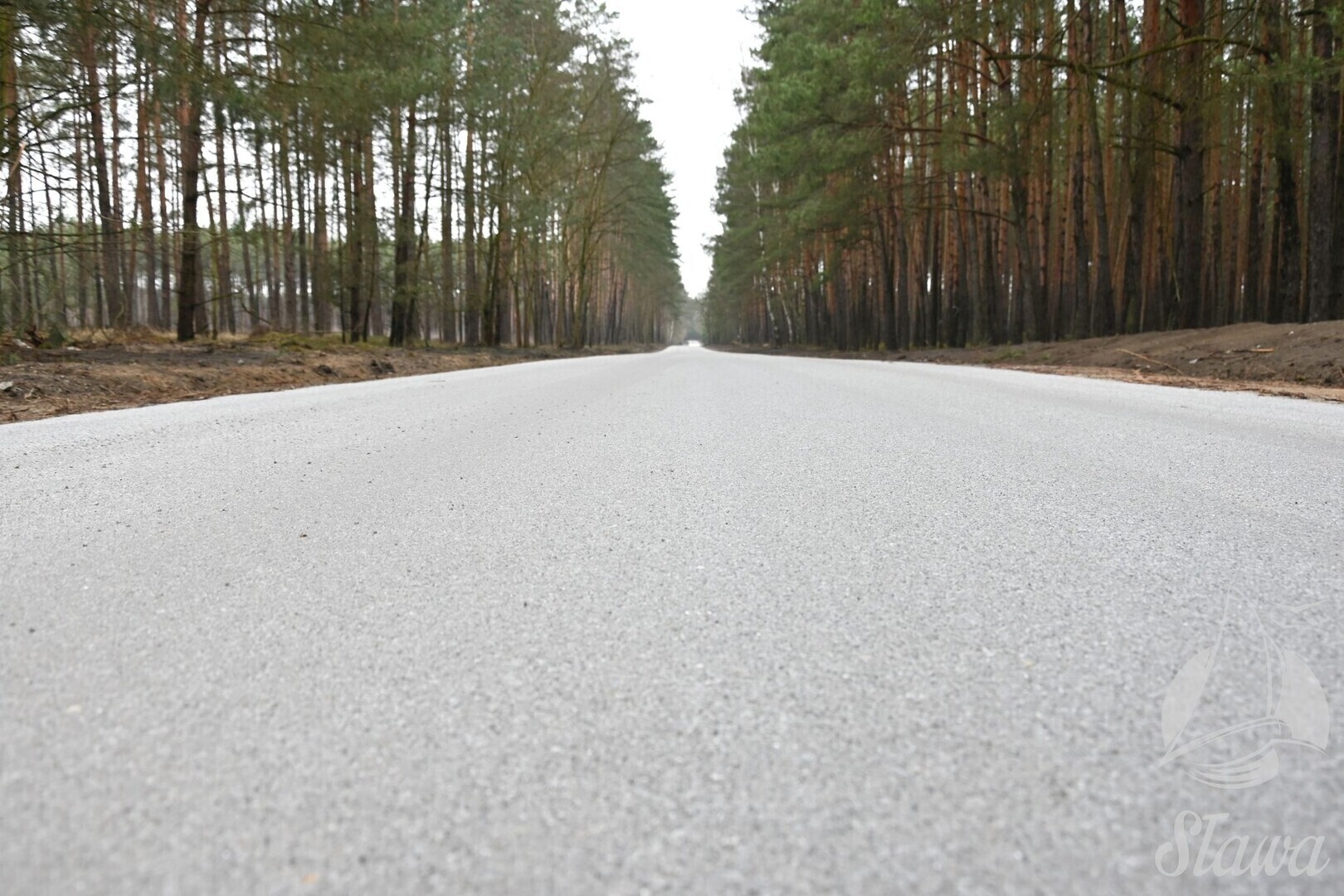 Asfalt na drodze Kuźnica Głogowska Myszyniec Nadleśnictwo daje 500 tys. zł