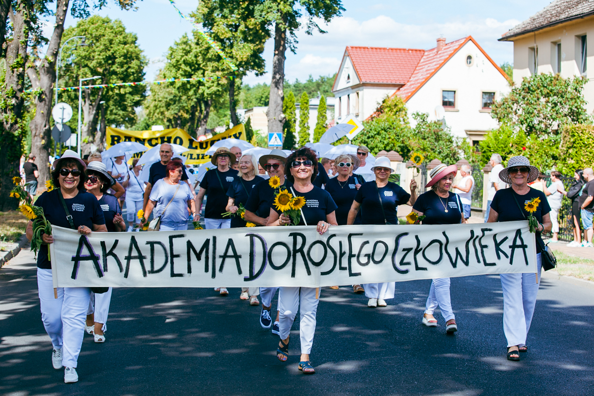 Zdjęcie: 1