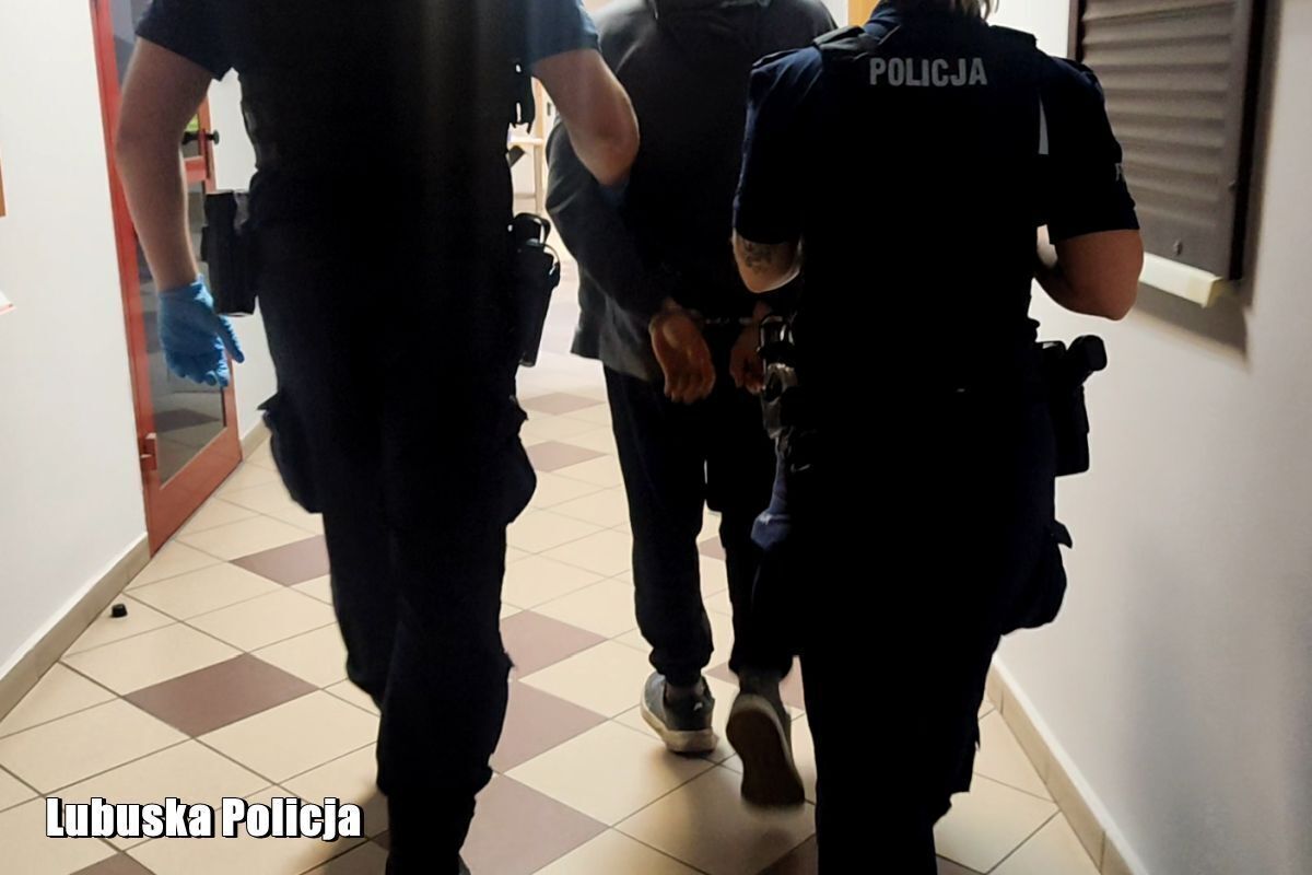 Zaatakował kierowniczkę pociągu. Agresja w pociągu na trasie Leszno - Wschowa - Głogów.