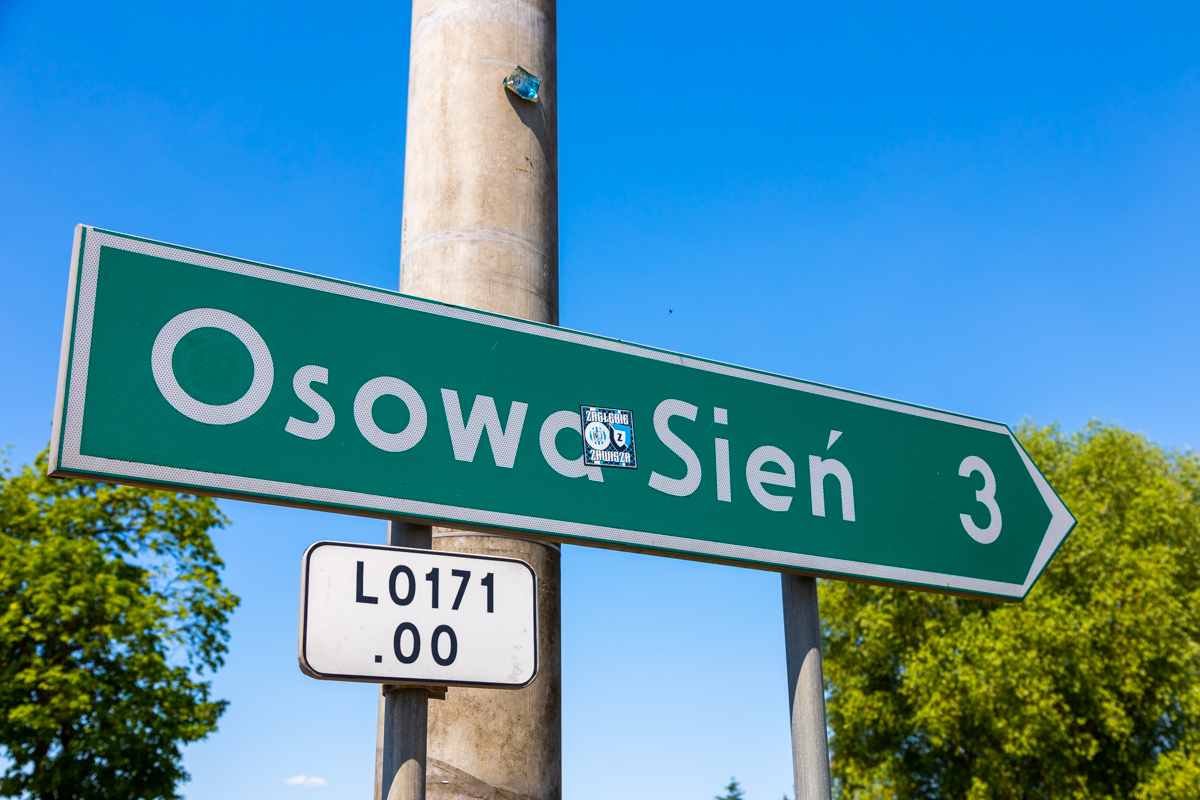 Ścieżka rowerowa przez Osową Sień do granicy województwa. Wschowa złożyła wniosek o prawie 5 mln zł