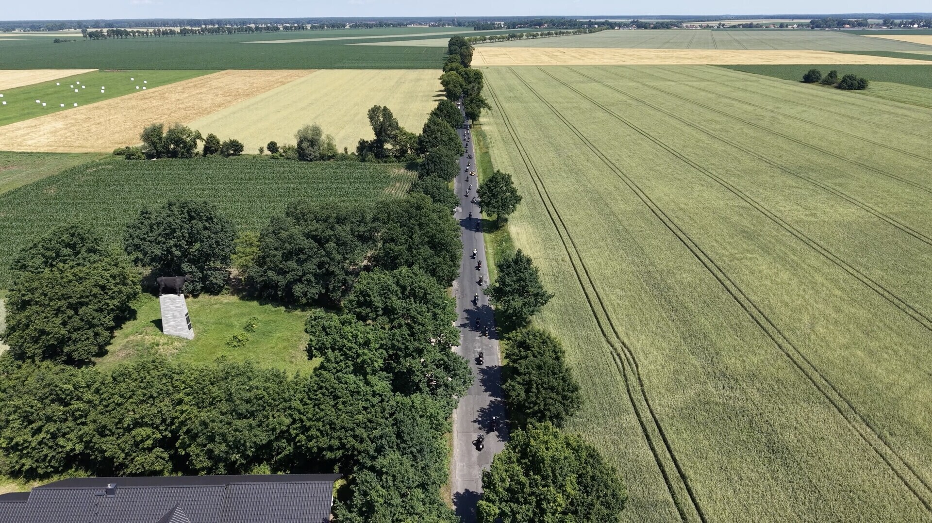 Droga na trasie Wschowa - Osowa Sień. Na zdjęciu pomnik buhaja Ilona