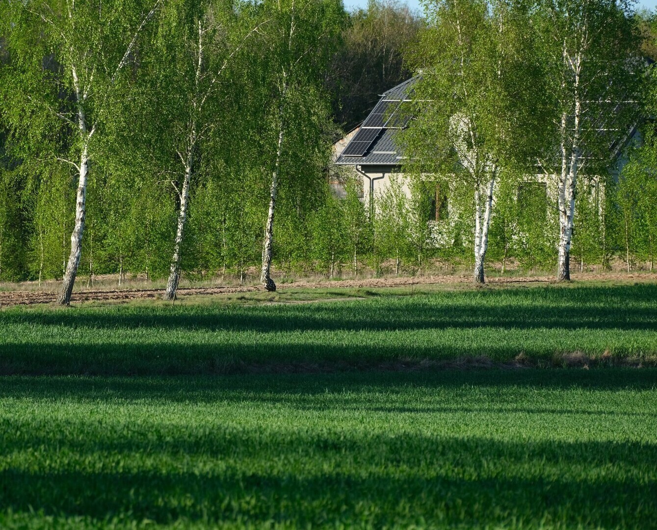 dom ekologiczny